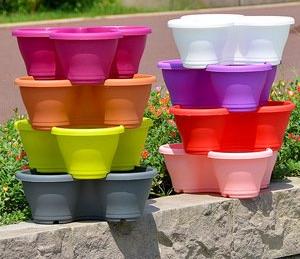 clear flower pot